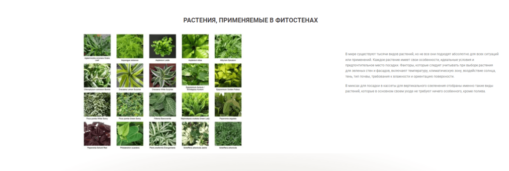 Растения категории Стена